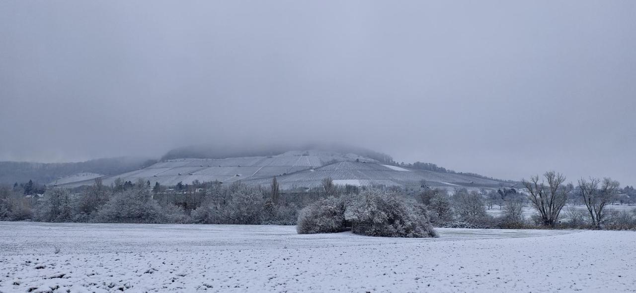 Ferienwohnung Kerstin Grambow Vaihingen an der Enz Exteriör bild